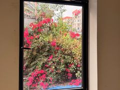 -素咫咖啡CLIFEROSE(新安店)