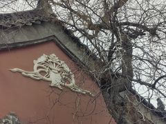 -长春观