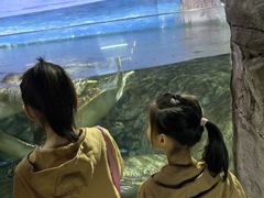 -福州罗源湾海洋世界旅游区