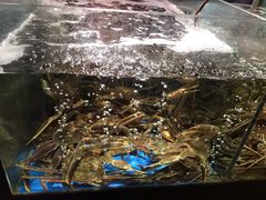 -蟹之国·精品蟹料理(极地店)