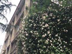 -西安交通大学(雁塔校区)