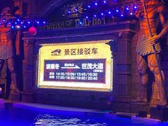-哈尔滨波塞冬海底世界