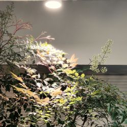 -纯粹医美
