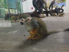 -西安秦岭野生动物园