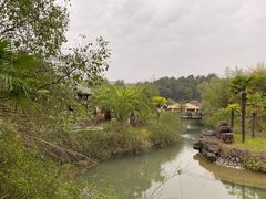 -咸宁万豪温泉谷度假区