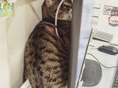 -萌兽医馆·犬猫专科·眼科中心·宠物医院(朝阳门分院)