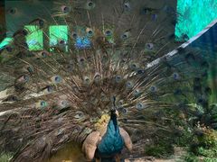 -陕西自然博物馆