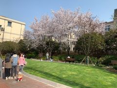 -常熟路(地铁站)