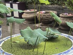 -江阴君山寺