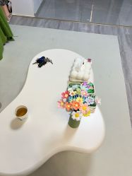 -颜续美容美体