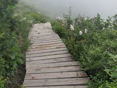 -白草畔自然风景区