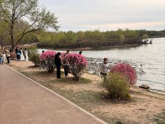 -丁香湖公园