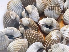 生腌血蚶-长平老姿娘夜粥(平东一街店)