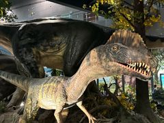 -湖南省地质博物馆