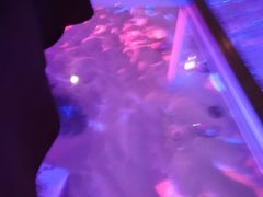 -佐度王子扒房(天鹅湖店)