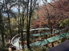 -莫干山风景区