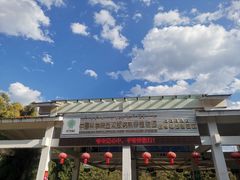 -中国科学院西双版纳热带植物园