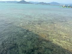 -三亚蜈支洲岛旅游区