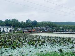 -阿山卓·野生菌火锅·纳西火塘烤肉