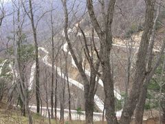-牛背梁国家森林公园