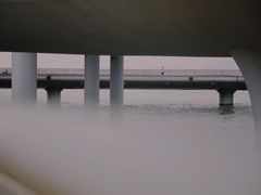 -演武大桥观景平台