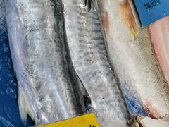 -船家渔(徐州北路店)