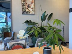 -了不起的考拉咖啡店(高新店)
