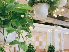 大堂-芭夯兔·兔肉汤锅(新都店)