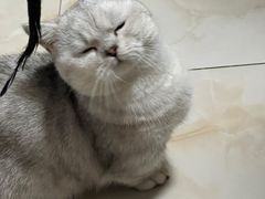 -FAELING PETS美天灵宠物(富力广场店)