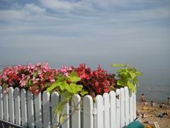 -南戴河国际娱乐中心