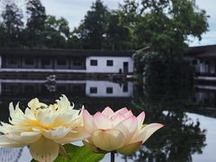 -无锡蠡湖国家湿地公园-蠡园