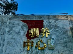 -广东惠东海龟国家级自然保护区