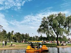 -上海共青森林公园