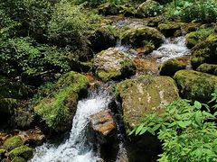 -秦岭终南山世界地质公园翠华山景区
