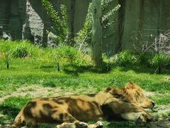 -北京野生动物园