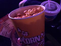 -深影国际影城(学院南路店CGS中国巨幕店)