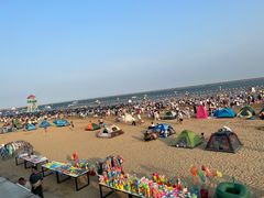 -碧海金沙