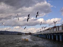 -海埂大坝