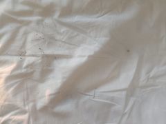 -上海浦东国际旅游度假区绿地铂骊酒店