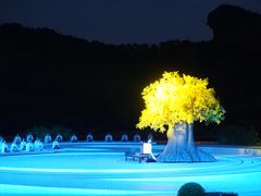 -鼎盛王朝康熙大典实景演出