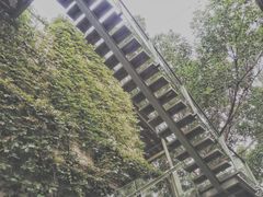 -喜洲吧·江畔老船厂·庭院餐厅(喜临院店)