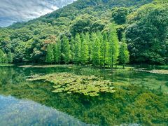 -广州市石门国家森林公园