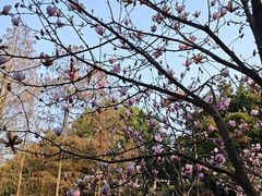 -雀儿山公园