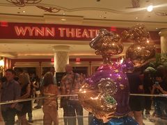 -拉斯维加斯永利酒店