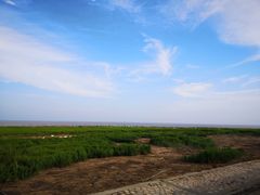 -南汇嘴观海公园