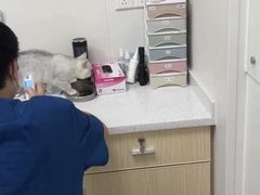 -爱诺耐芙动物医院(万博店)