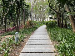 -深圳湾公园(南山区)
