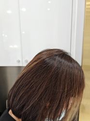 -YESIDO椰岛造型