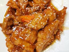 糖醋里脊-鸢飞潍坊菜馆(鸢飞大酒店)