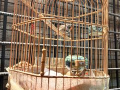 -川旺角融合菜•海景餐厅(星海广场店)